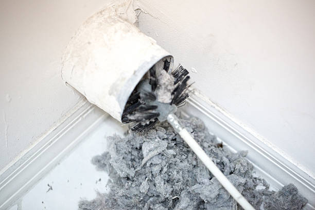 Best Affordable Air Duct Cleaning  in Albion, PA